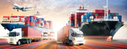 International Experience